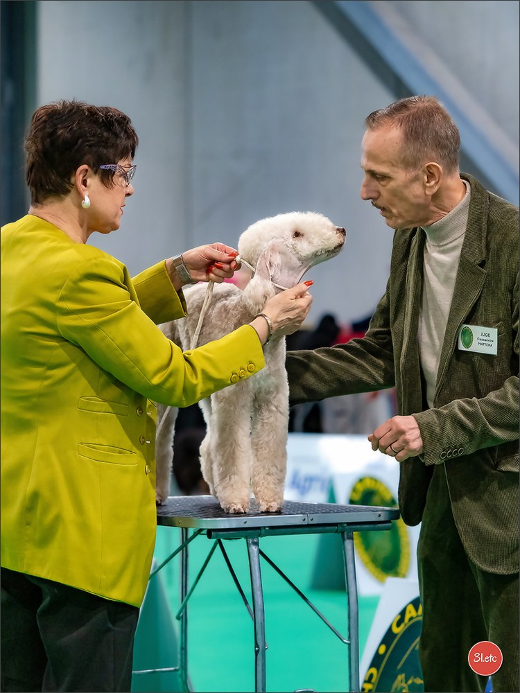 🇫🇷  Chalons en Champagne  🇫🇷  Expo canine  31/01-01/02/2026. Photographe à Strasbourg | Portraits, Studio, Enfants, Événements