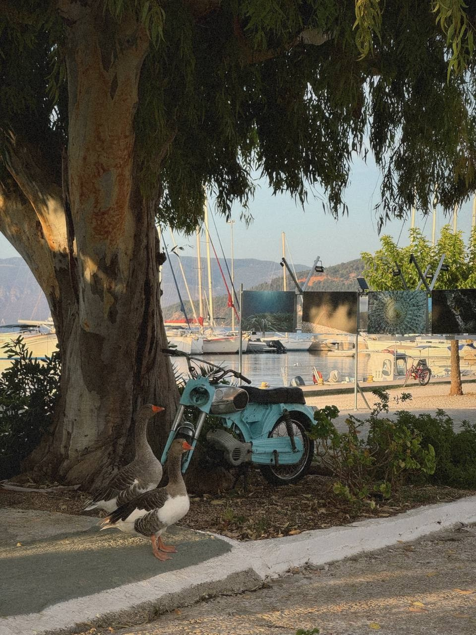 Моими глазами. Salut!