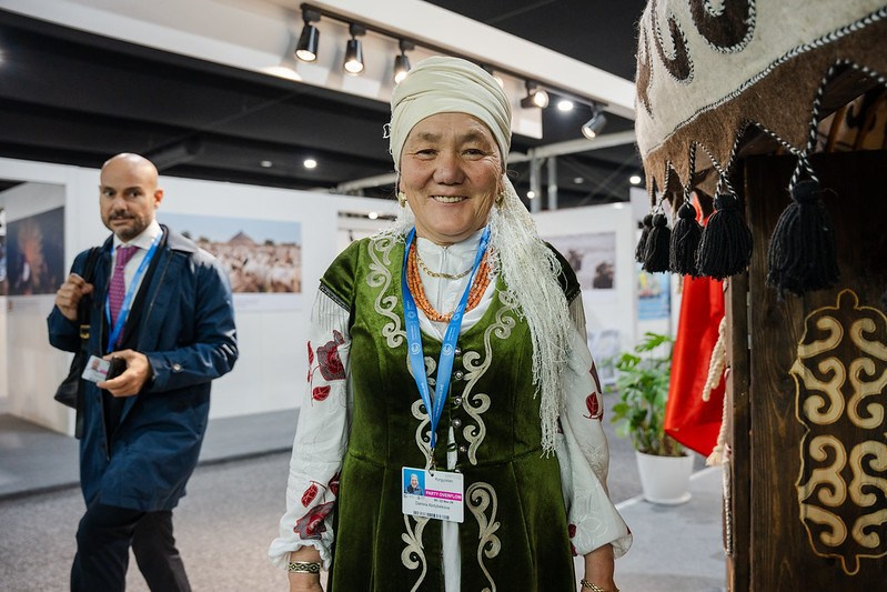 COP29. Ulvidasdamir.com