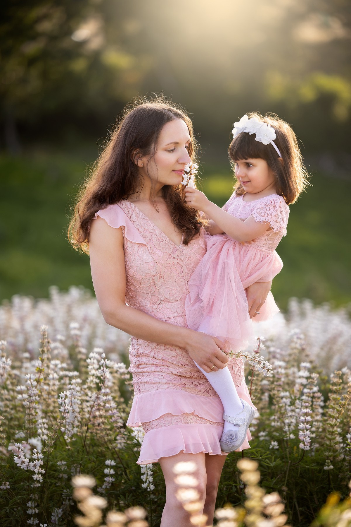 Lupines Story. Photographer is San Jose, Iryna Novosyolova