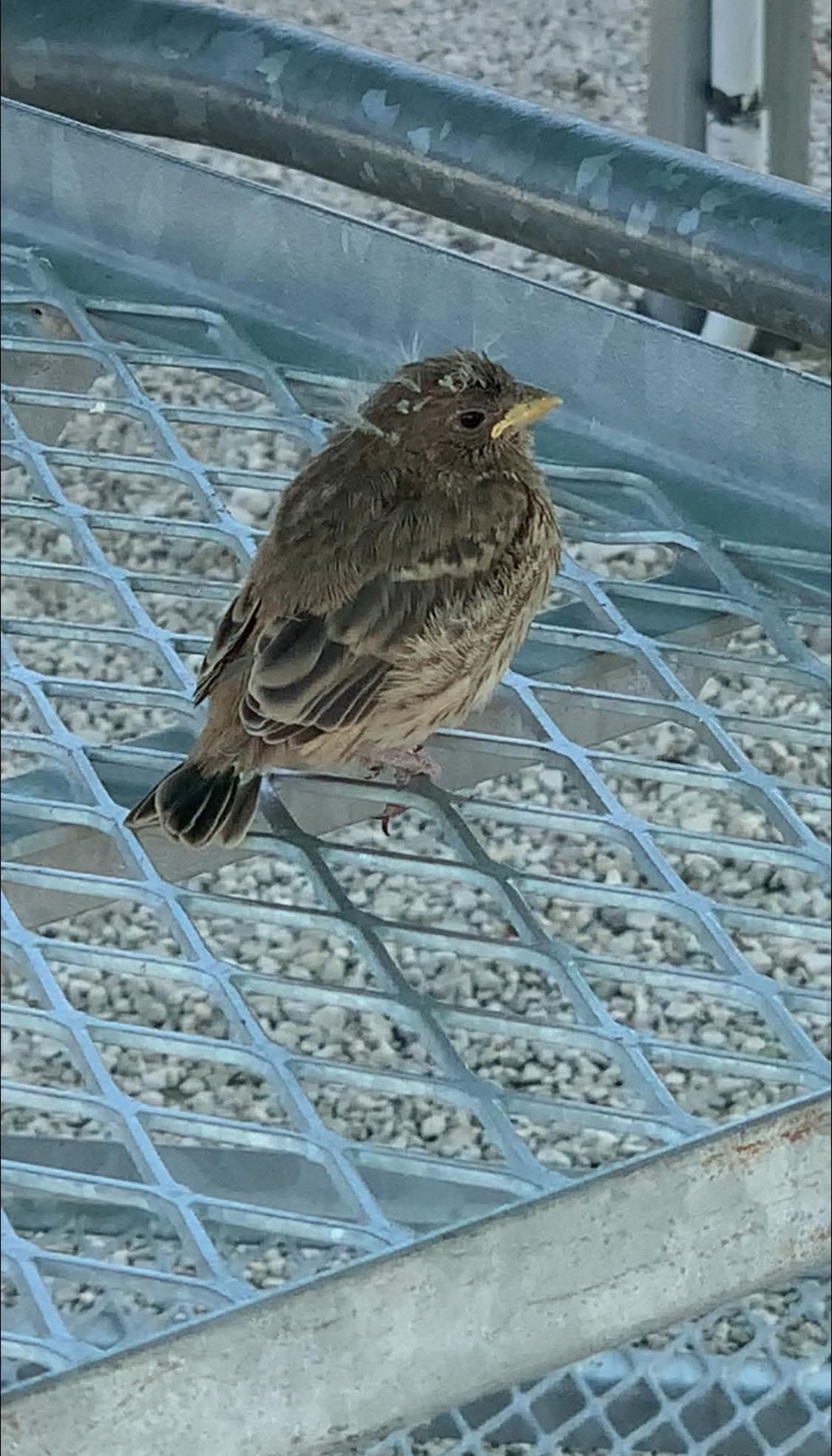 Mario Brown’s Lens Work