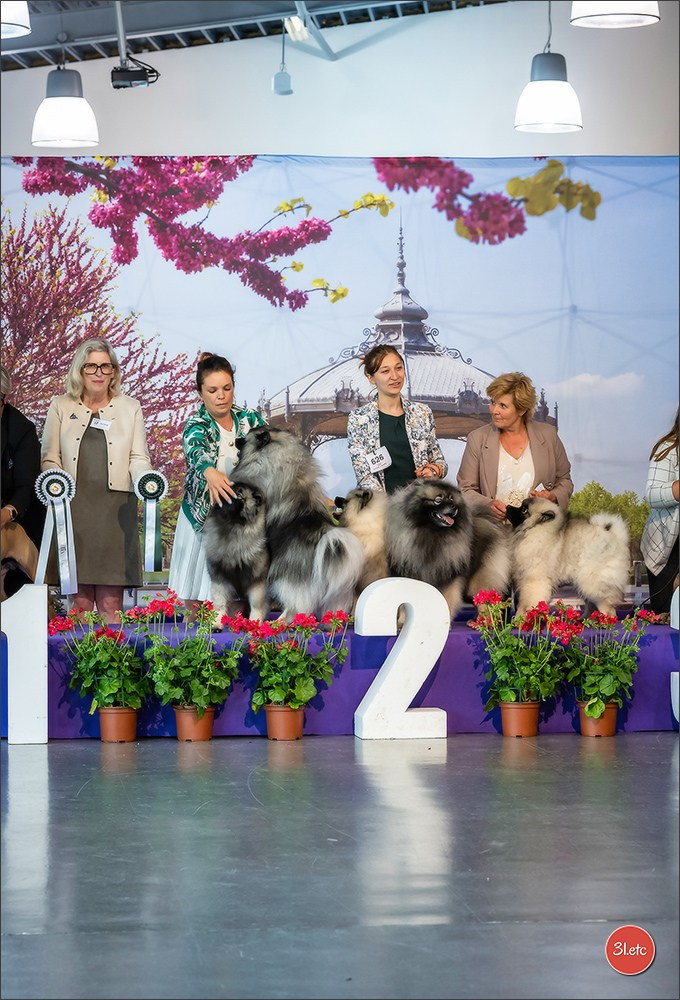 Expo canine 🇫🇷 Valence 02-03/05/2026