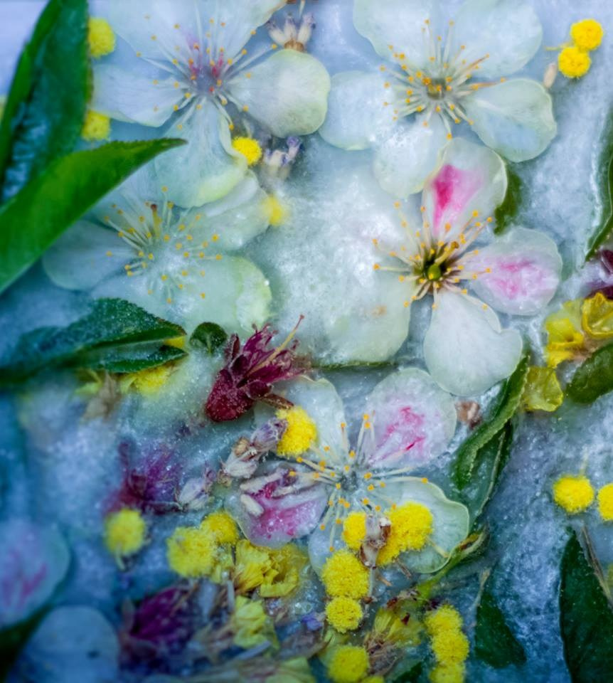 Работы учеников Школы Фотографии Романа Рыбалёва. Школа Фотографии Романа Рыбалёва. Город Кишинёв, Молдова