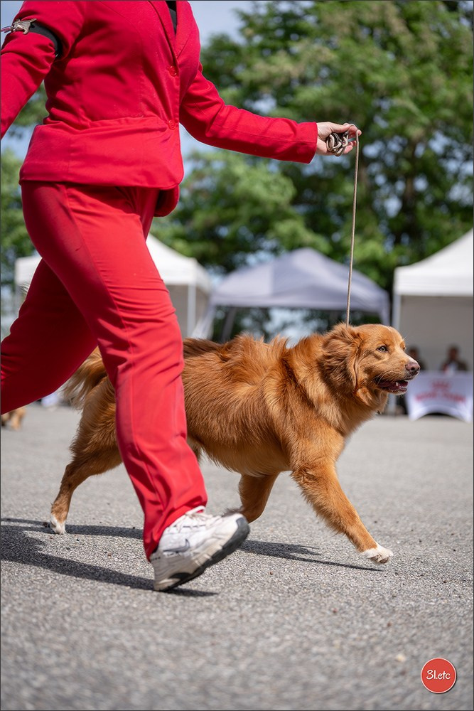 Expo canine 🇫🇷 Valence 02-03/05/2026