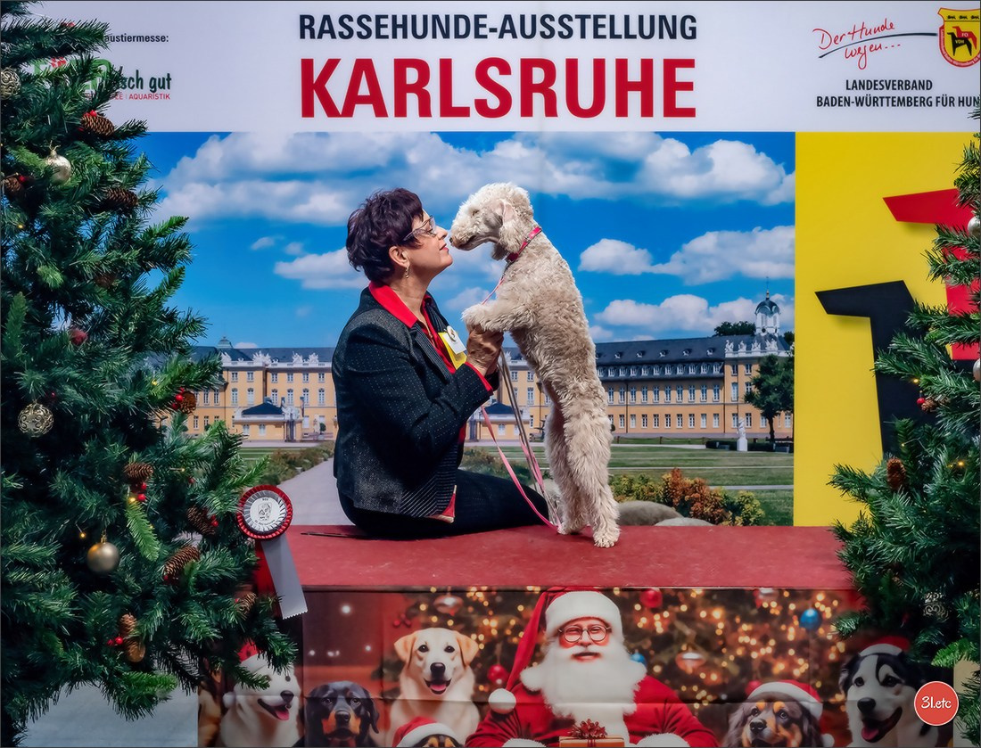 Dog Show Karlsruhe 🇩🇪  29-30/11/2025. Photographe à Strasbourg | Portraits, Studio, Enfants, Événements
