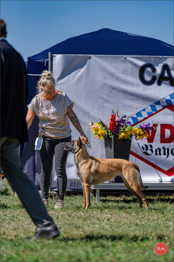 Dog Show - Hallbergmoos 🇩🇪 11-12/07/2026
