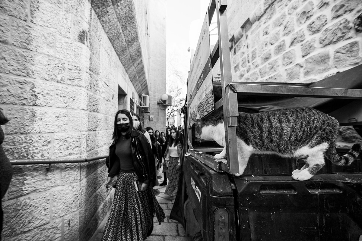 2020. Фотограф в Израиле Максим Саяпин