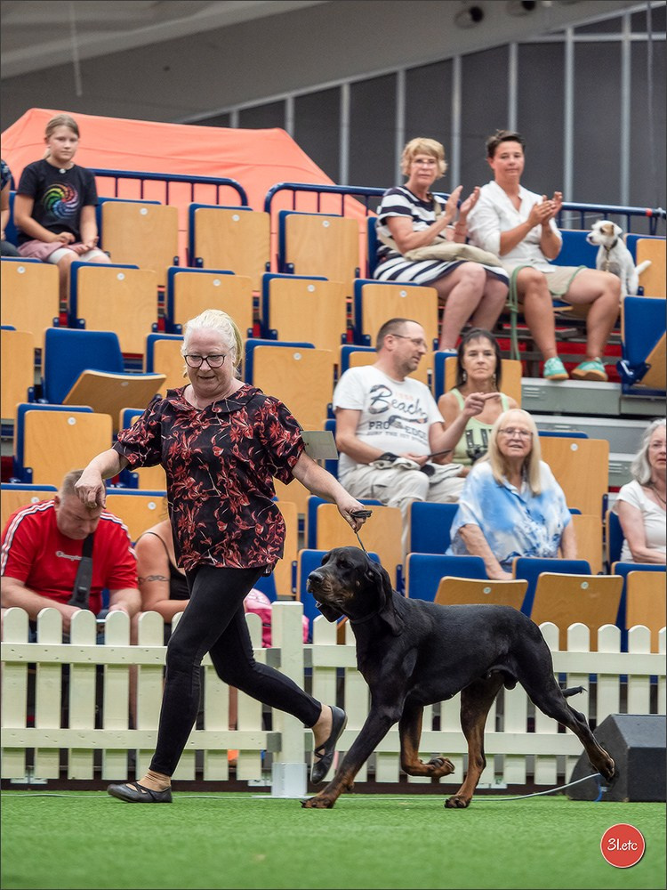 Dog Show Ludwigshafen  🇩🇪  16-17/08/2025. Photographe à Strasbourg | Portraits, Studio, Enfants, Événements