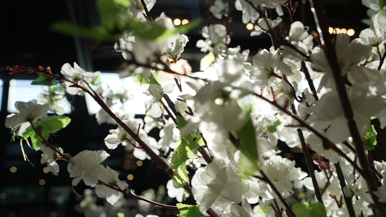 VIA / BASICO. Wedding and events photographers Studio Shalom