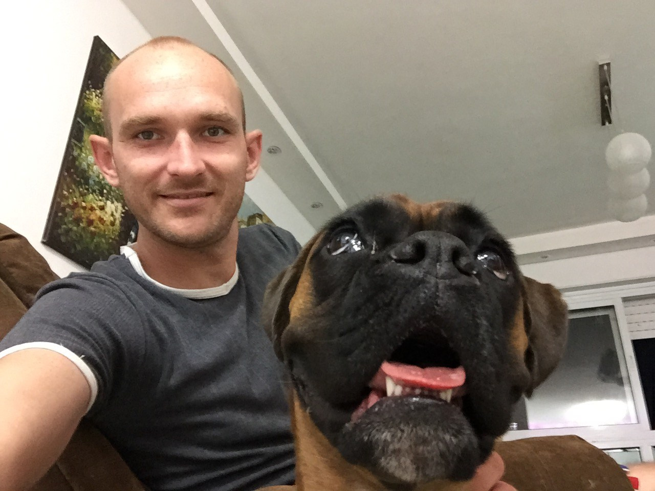 My ״Star״ Boxer Dog