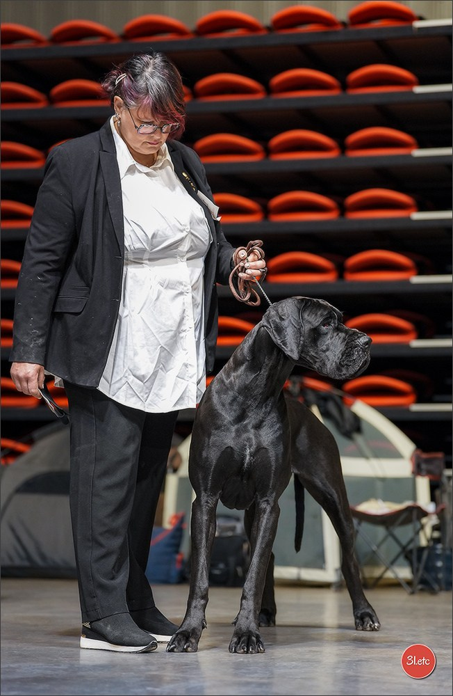 Expo canine 🇫🇷 Martigues 18-19/04/2026