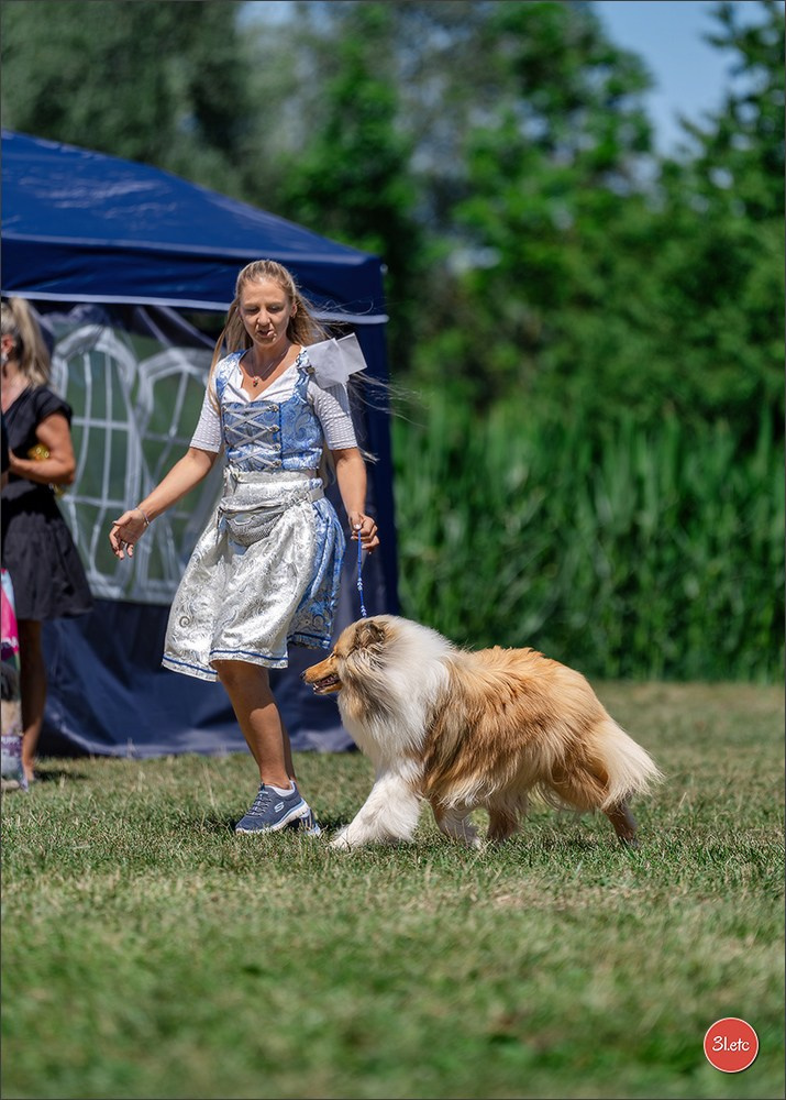 Dog Show - Hallbergmoos 🇩🇪 11-12/07/2026