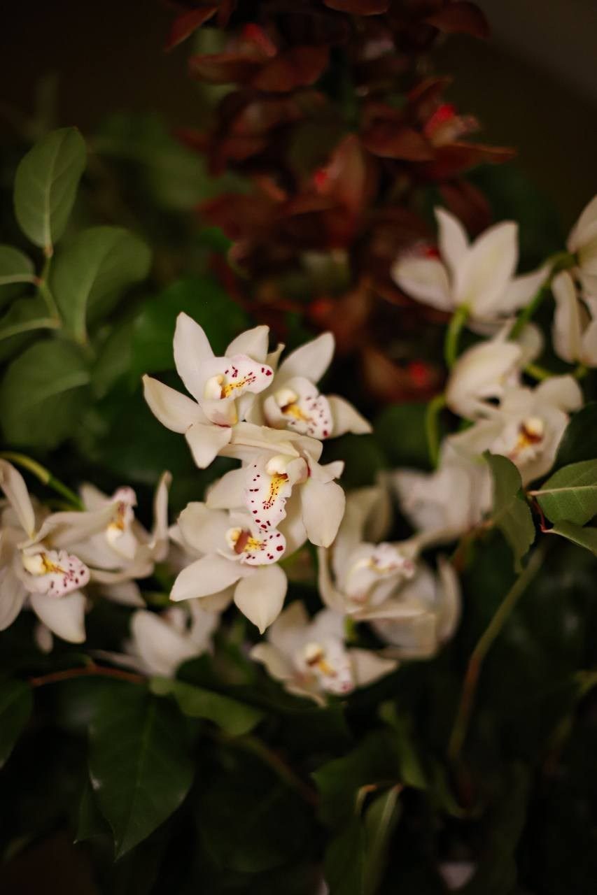 LD. VALERIIA VIUNOVA individual shooting\love story\event\brand