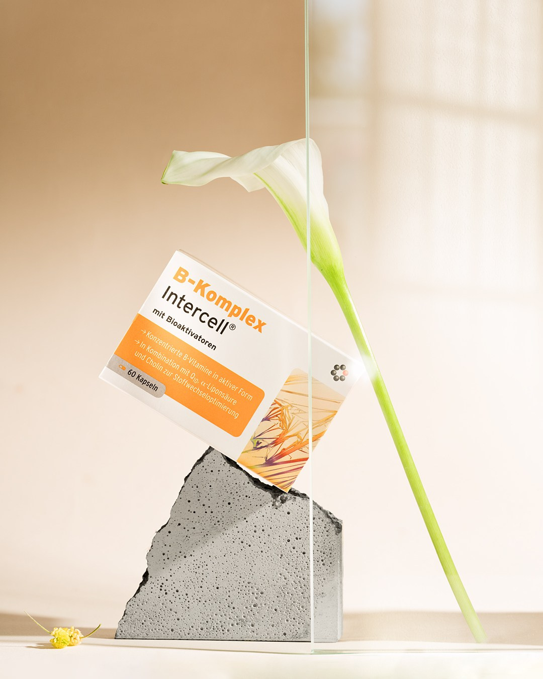 Fotografia produktowa suplementu diety w pomarańczowym opakowaniu z motywem roślinnym, wykonana przez Focusiv Studio. Profesjonalne zdjęcia reklamowe produktów zdrowotnych i kosmetycznych – Gorzów Wielkopolski, Poznań, Szczecin, Wrocław, Zielona Góra