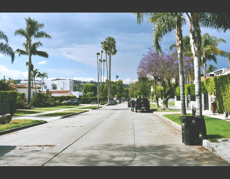 Lens Work From Field  1