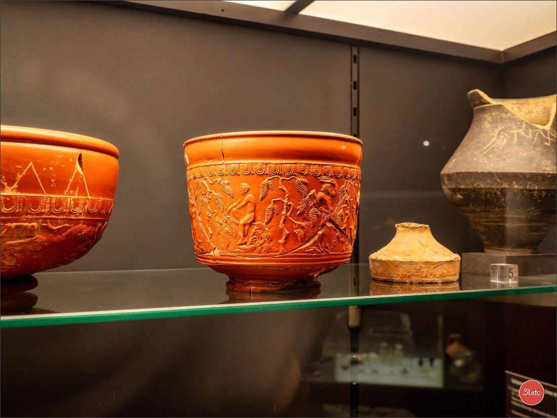 Poitiers 🇫🇷. Photographe à Strasbourg | Portraits, Studio, Enfants, Événements