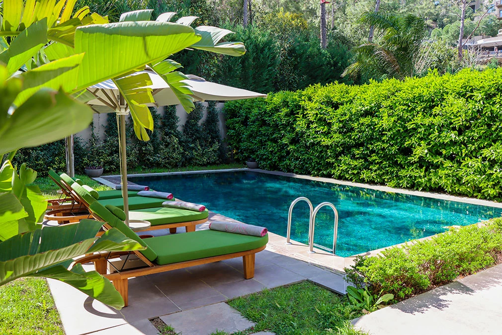 NG PHASELIS BAY. Lero Photographer and a set designer|individual custom portrait and advertising photography in Zutphen