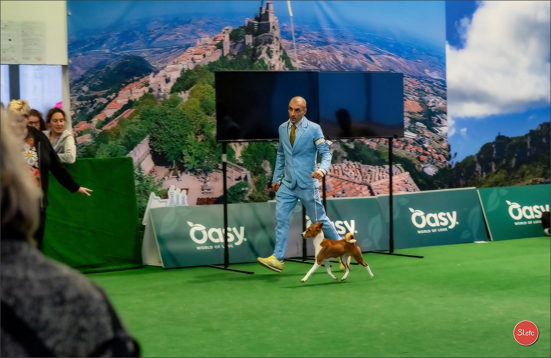 Dog Show  🇮🇹  San Marino. Photographe à Strasbourg | Portraits, Studio, Enfants, Événements