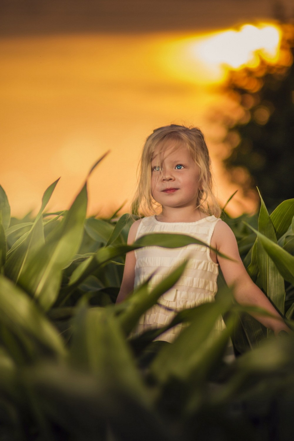 DEČIJA FOTOGRAFISANJA. Fotografi iz Backog Petrovca David i Andrea Stojanovic