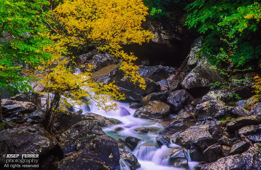 Valle de Hecho, Pyrenees, Huesca