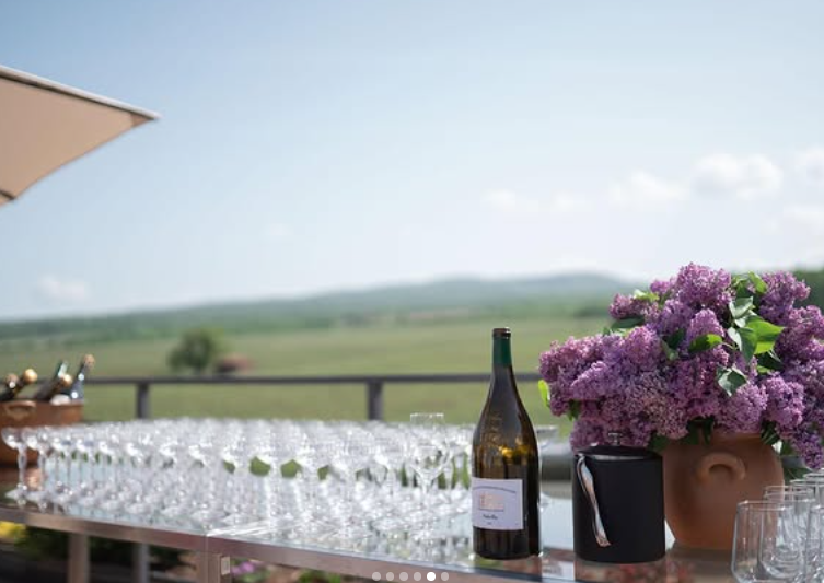 Tsinandali Estate. Главная