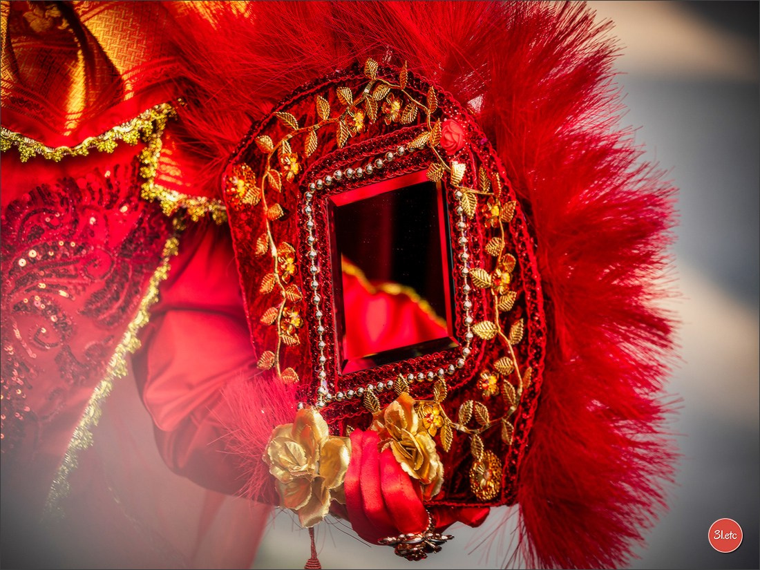 Carnaval vénitien de Rosheim 2026. Photographe à Strasbourg | Portraits, Studio, Enfants, Événements