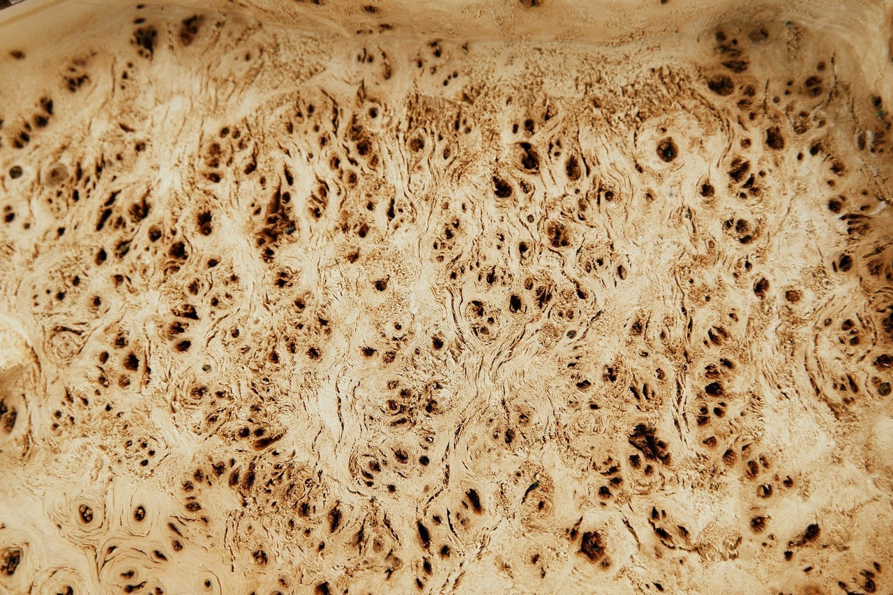 Reviews. Photographer in Barcelona Spain Zhanna Zakharchenko