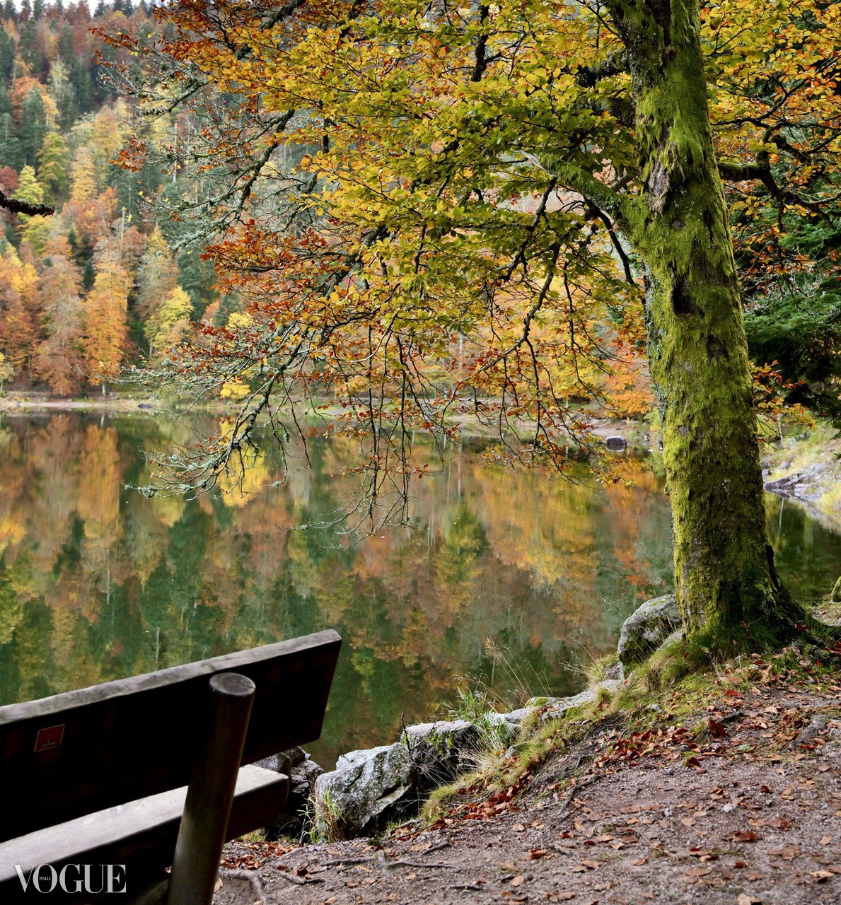 Publications, Awards. Wedding-Family photographer, South of France–Paris, Valentina Acrement