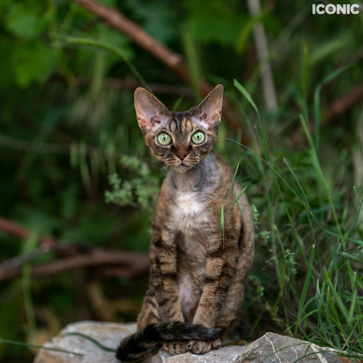 Publications, Awards. Wedding-Family photographer, South of France–Paris, Valentina Acrement