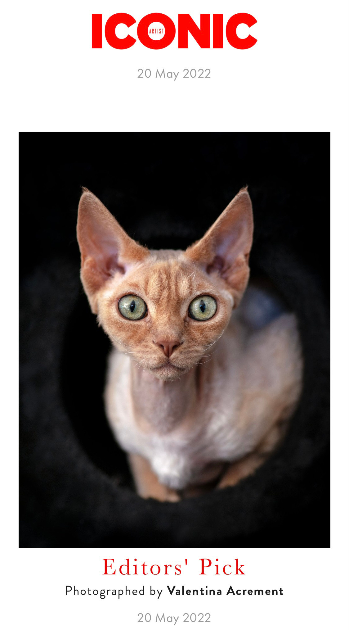 Publications, Awards. Wedding-Family photographer, South of France–Paris, Valentina Acrement