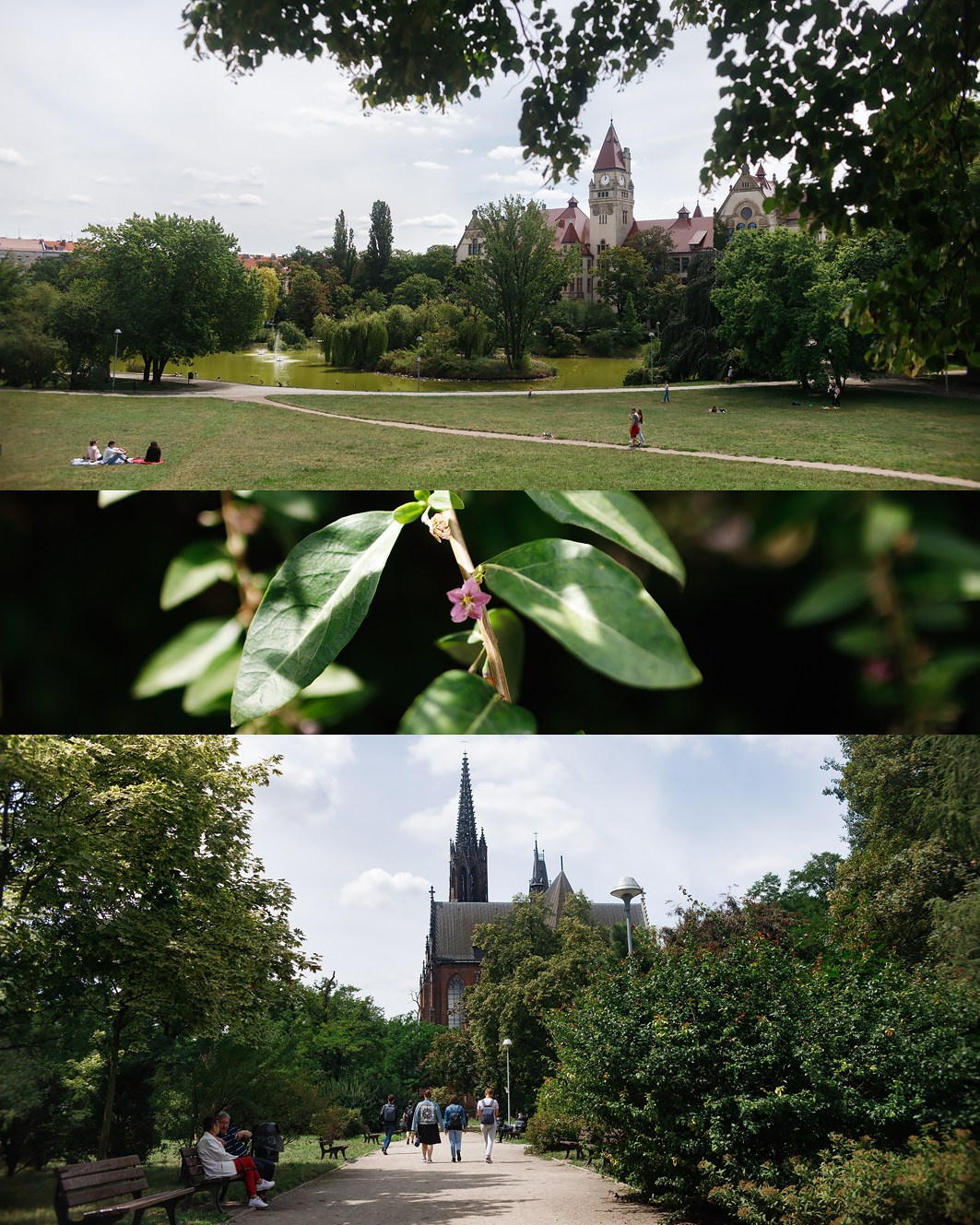 Wroclaw | the best ones. Kaja | fotograf psów we Wrocławiu