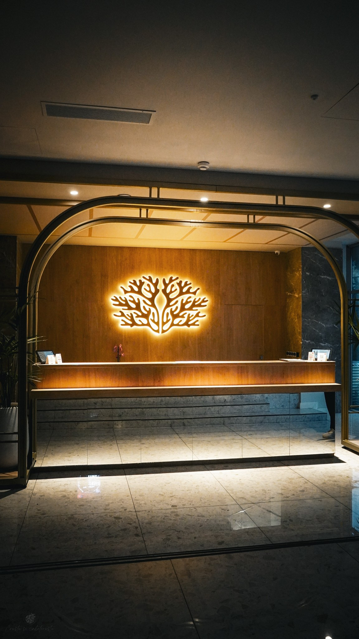 Bacolux Koralyo. Creste si calatoreste