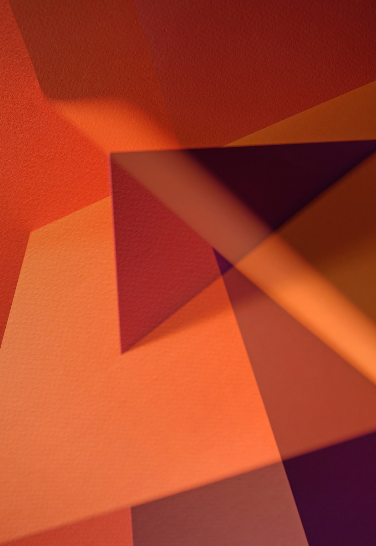 «Color». Фотограф, фотохудожник Олена Новгородцева