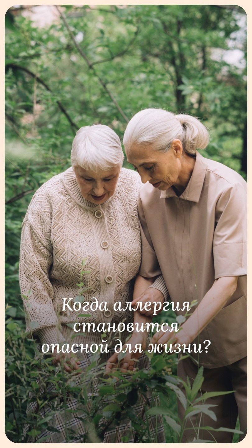 Помощники. Stylist