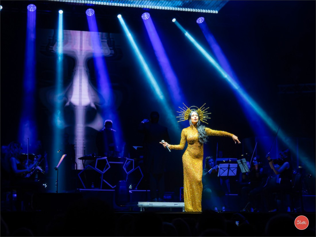 Concerts . Carnavals . Festivals. Photographe à Strasbourg | Portraits, Studio, Enfants, Événements