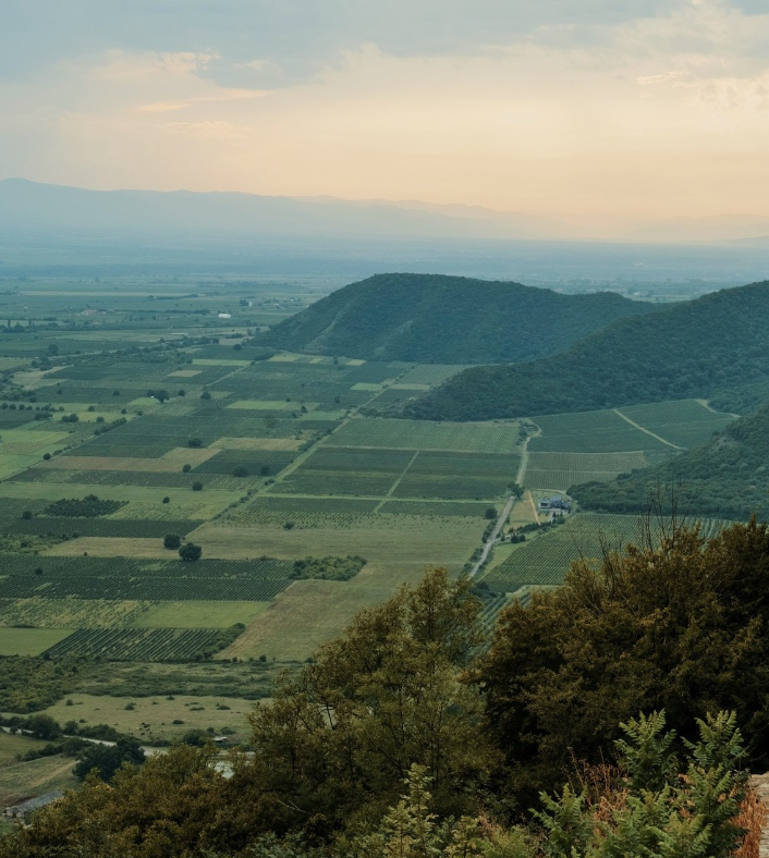 Nekresi Estate. Главная