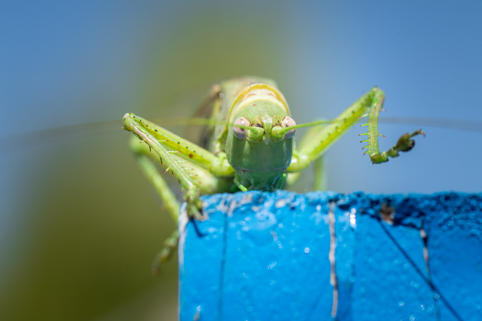 Пейзажи, предметная съемка, съемка еды, съемка интерьеров. Профессиональный фотограф в Бишкек Сергей Зорин