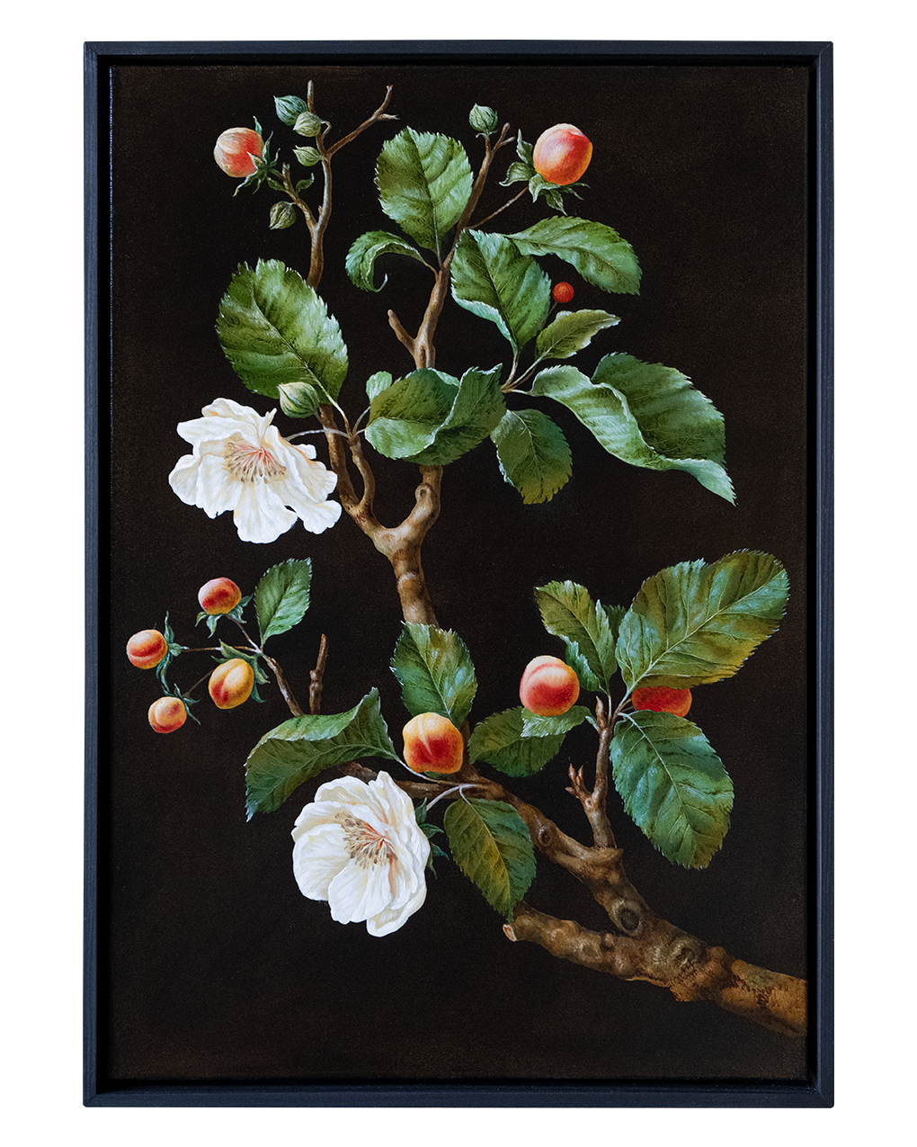 Botanical Etude No. 9. ELEN BEZHEN