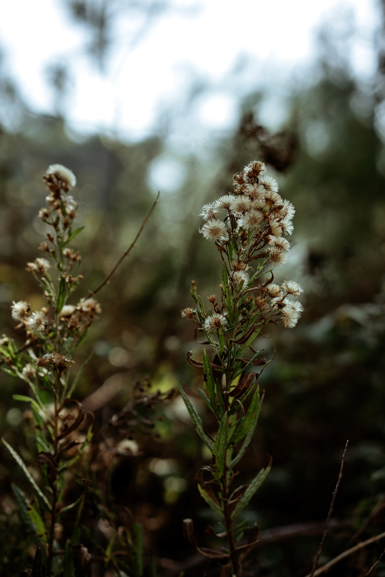 Hedonism Cycling Camp 2021 #cycling. Photographer Evgeniya Dovgalyuk