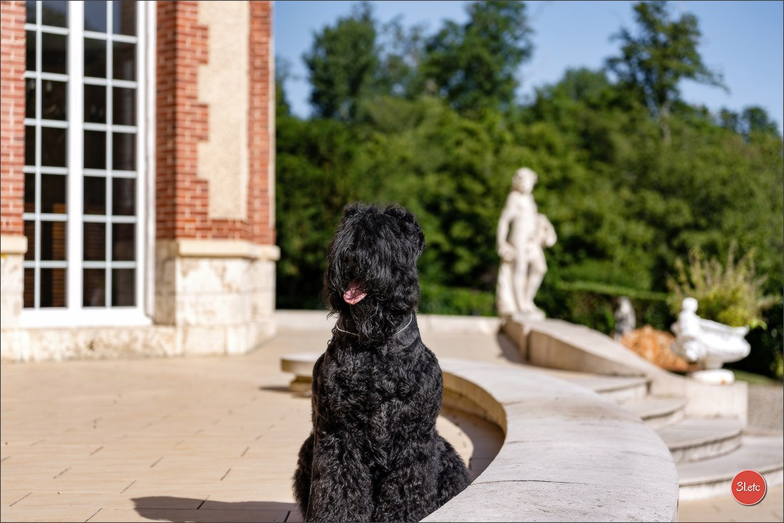 🇫🇷  CHARTRES  🇫🇷  2026  🇫🇷  Exposition Canine Nationale - Château des Boulard