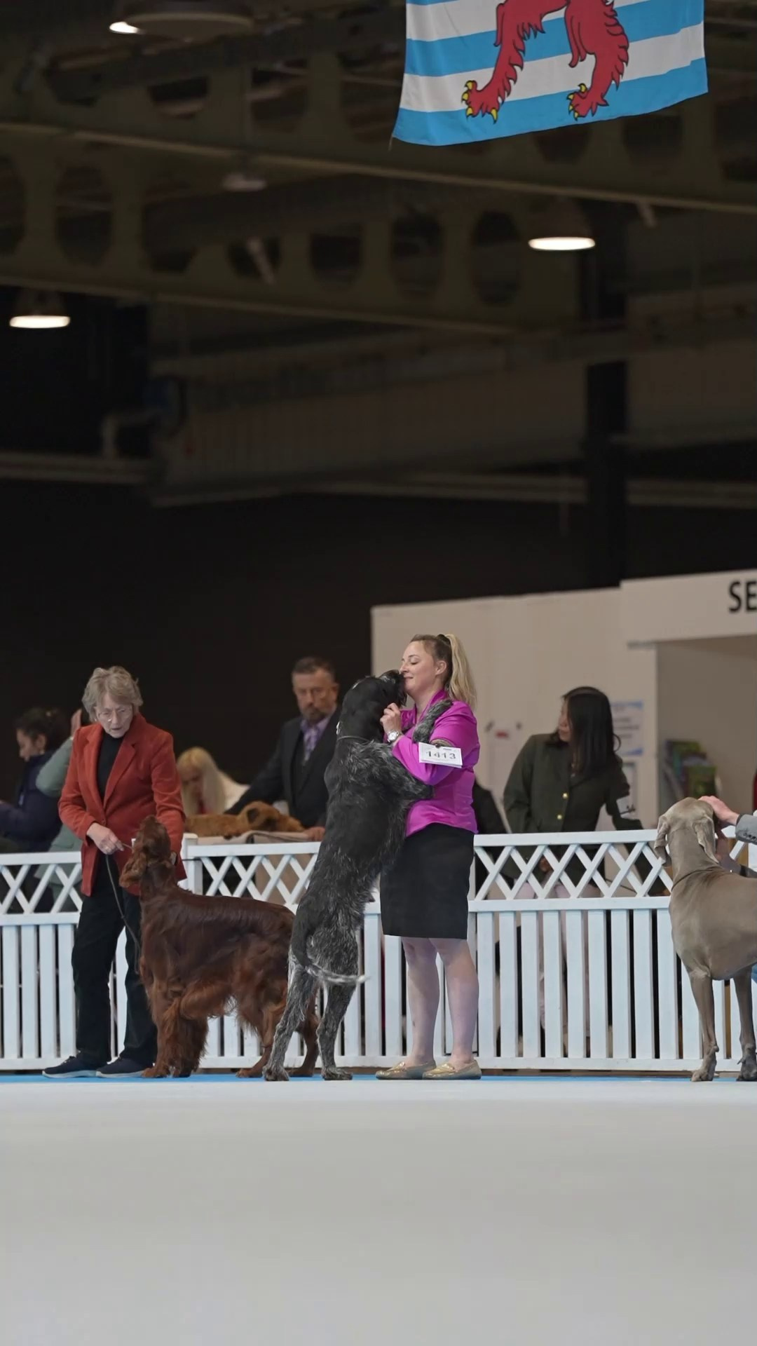 🇱🇺 LUXEMBOURG 🇱🇺 International Dog Show 4-5/04/2026. Photographe à Strasbourg | Portraits, Studio, Enfants, Événements