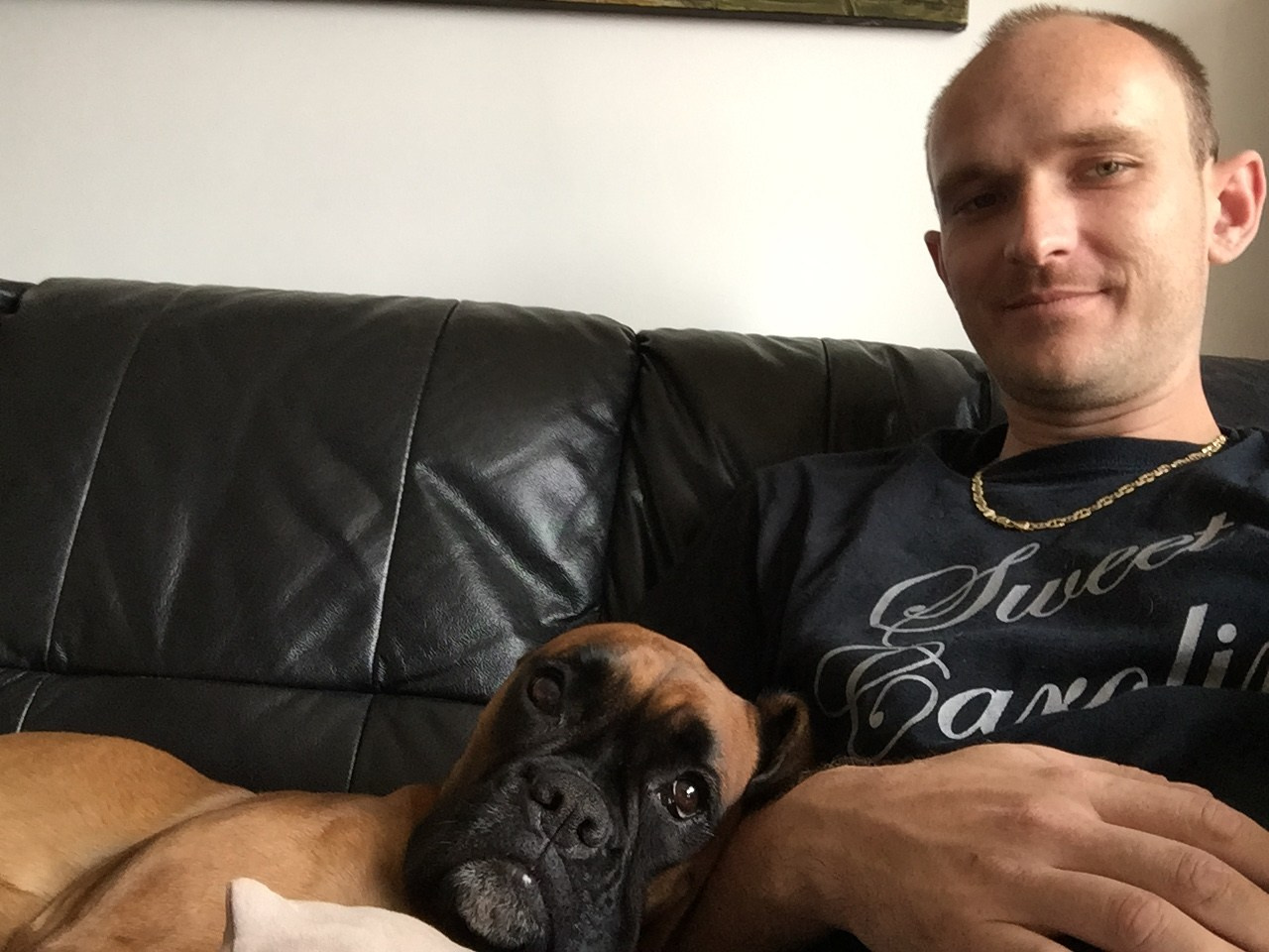 My ״Star״ Boxer Dog