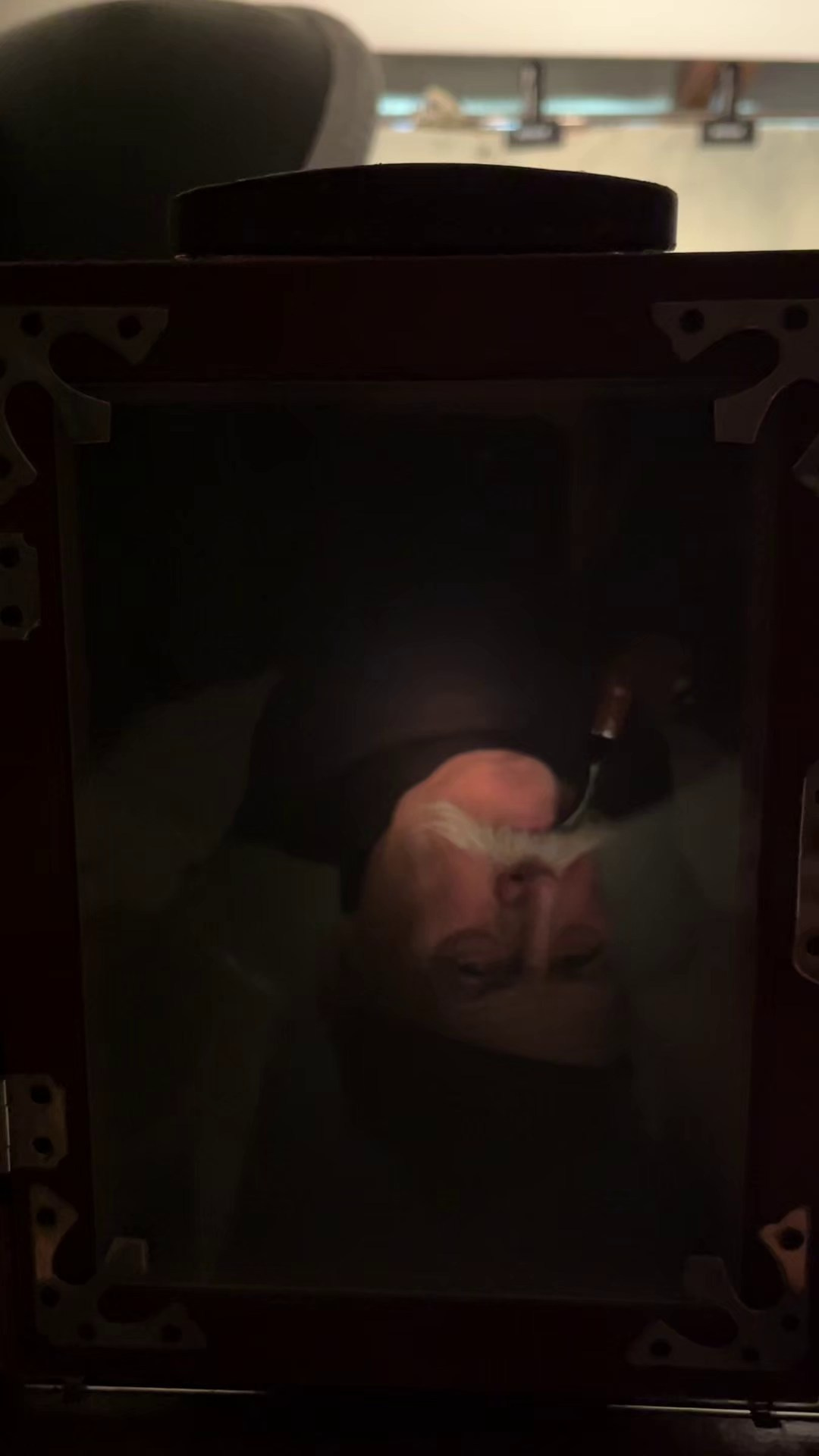 🧪 Tintype sessions