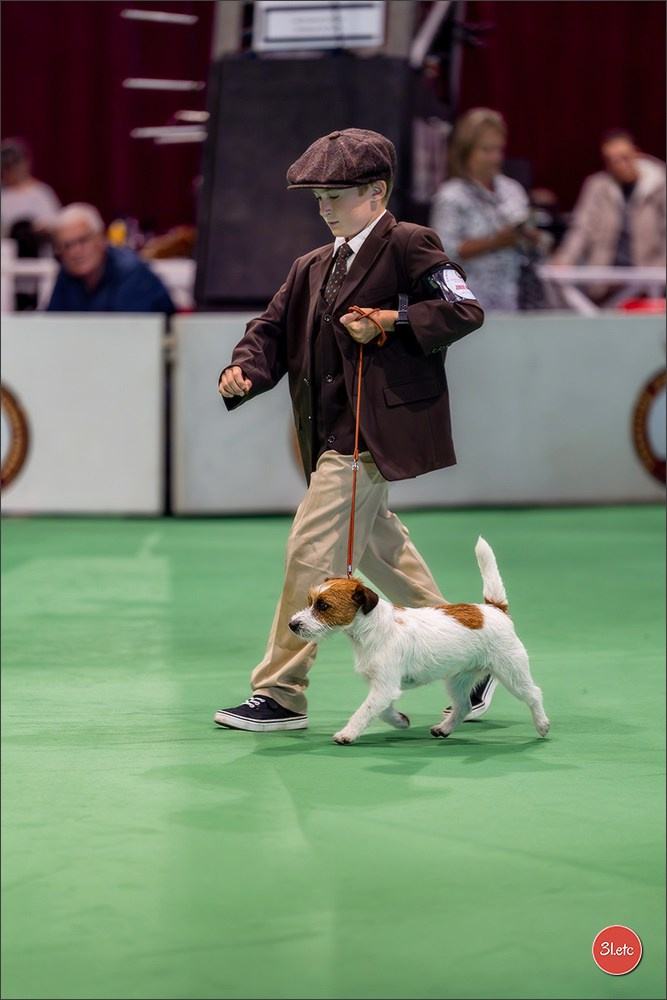 Expo canine 🇲🇨 Monaco 9-10/05/2026. Photographe à Strasbourg | Les animaux, Portraits, Studio, Événements