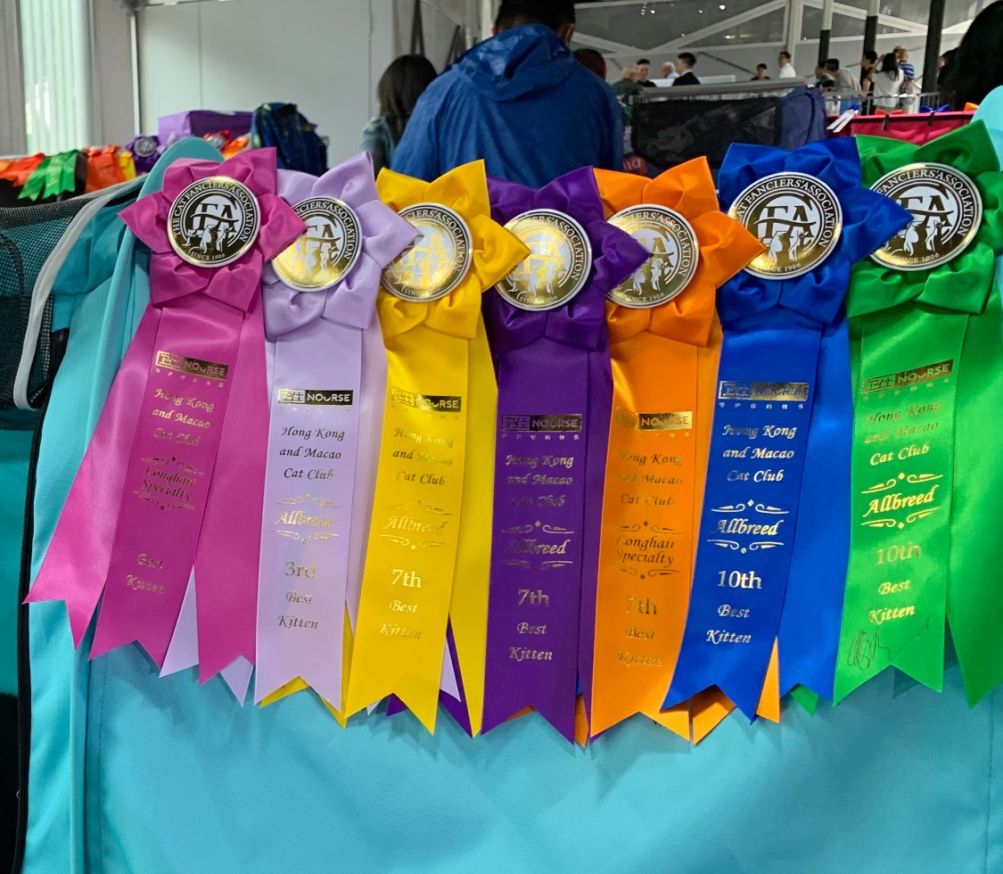 Molly had a great result of the show 