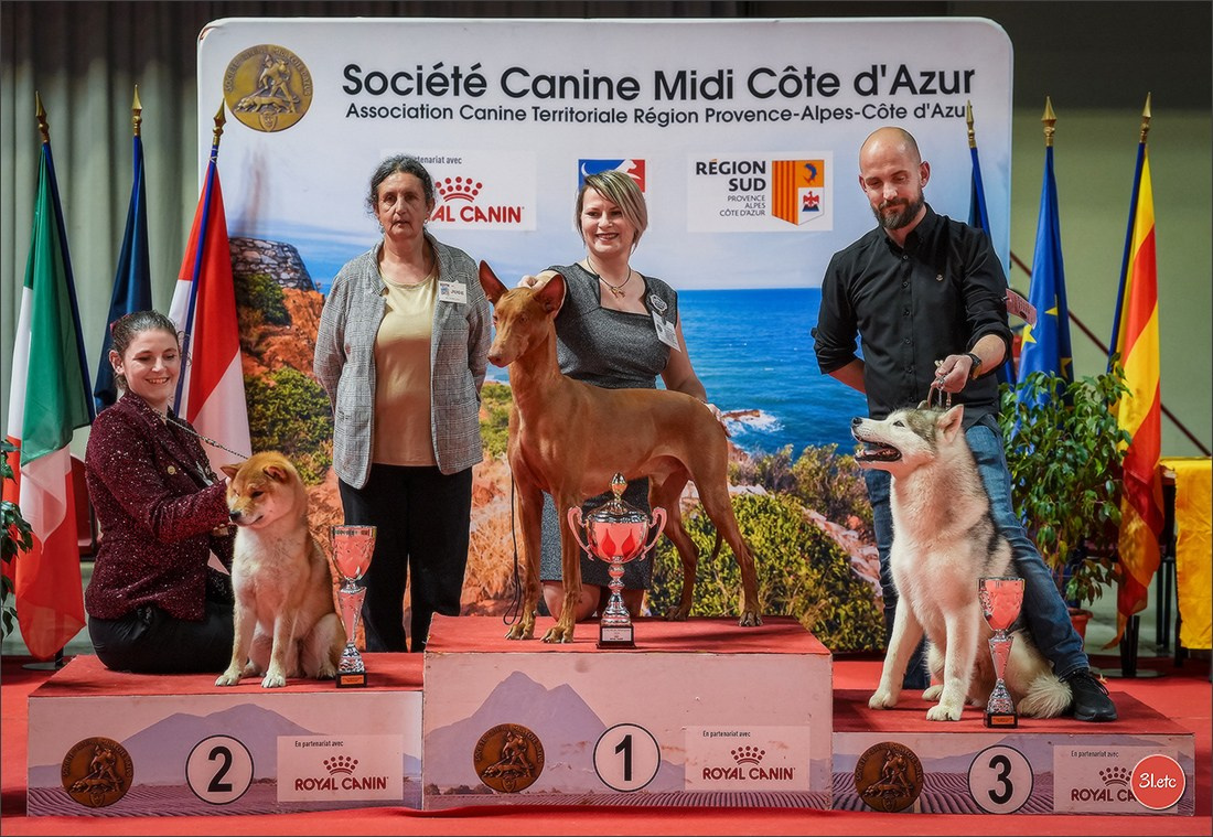 Expo canine 🇫🇷 Martigues 18-19/04/2026