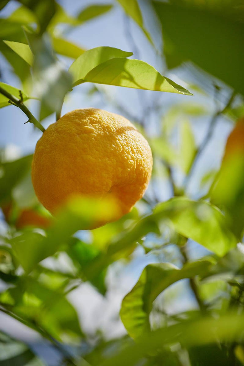 Brand Photography for Small Business