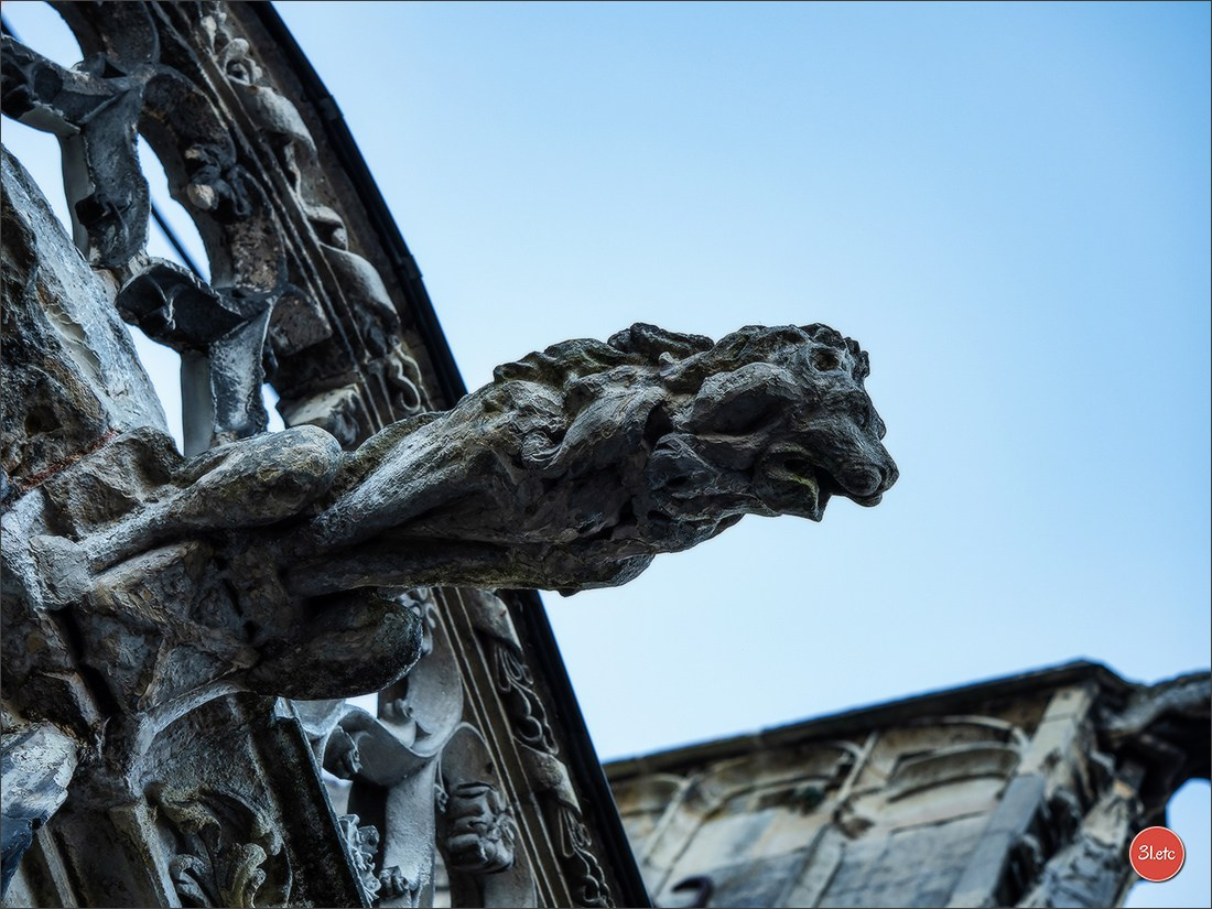Margny-lès-Compiègne. Photographe à Strasbourg | Portraits, Studio, Enfants, Événements