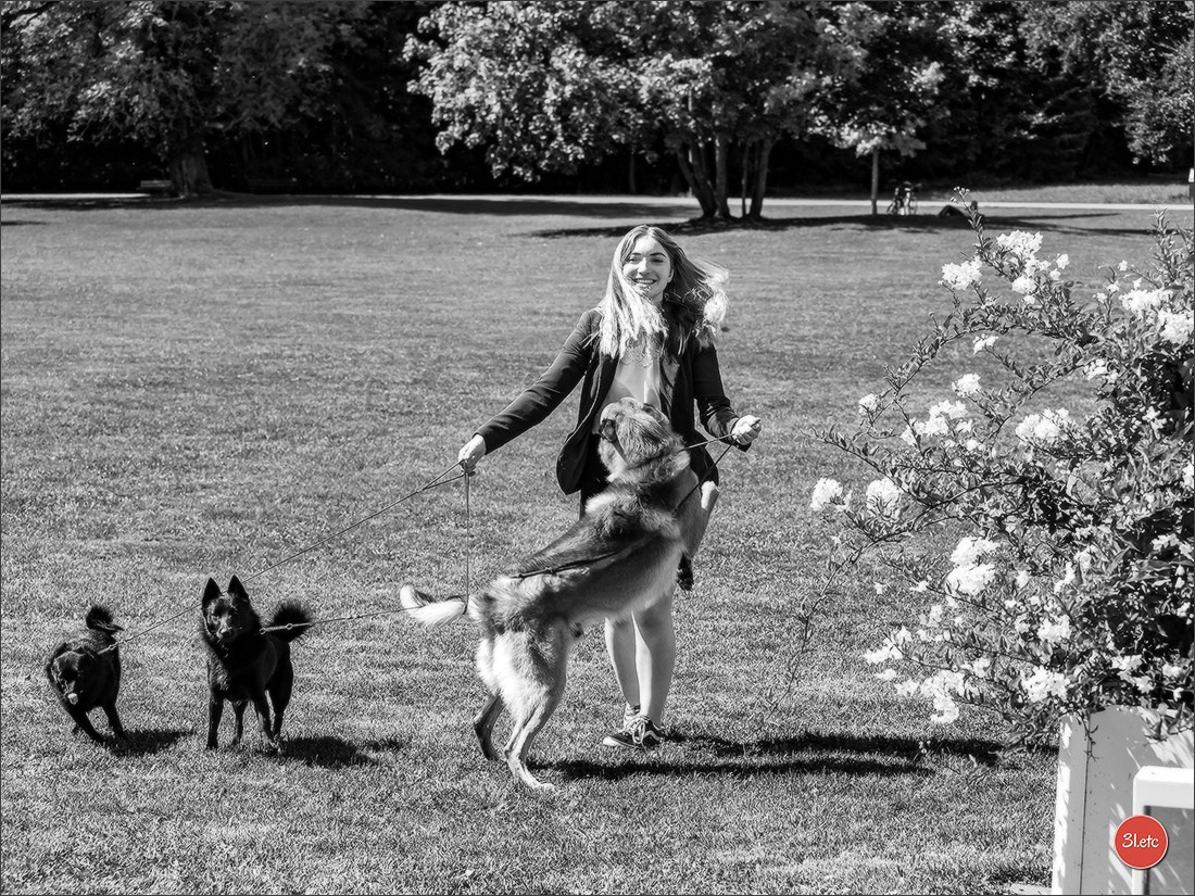 Expo canine Strasbourg  🇫🇷  23-24/08/2025. Photographe à Strasbourg | Portraits, Studio, Enfants, Événements
