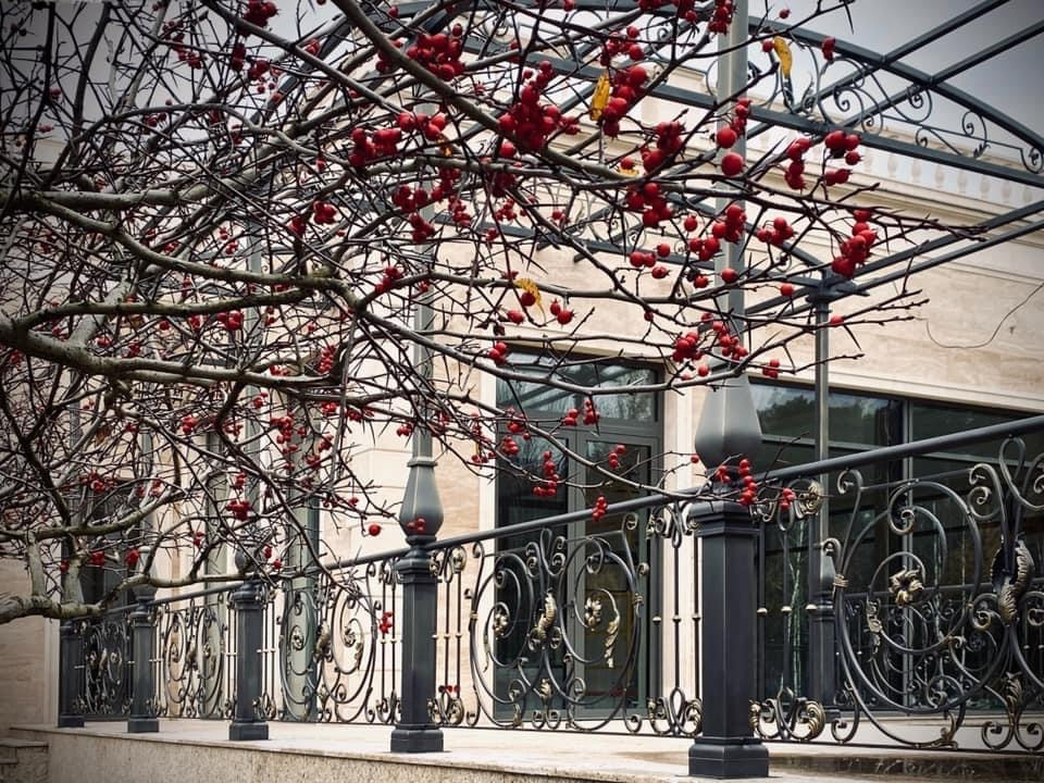 Коммерческие проекты Марии Тарлецкой. Скульптор кузнец Мария Тарлецкая